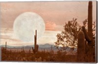 Desert Twilight Fine Art Print