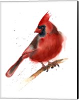 Cardinal Fine Art Print