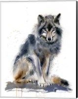 Wolf IV Fine Art Print