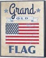 Grand Old Flag Dark Fine Art Print