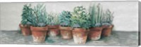 Pots of Herbs II Cottage v2 Fine Art Print