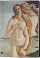 Birth of Venus, Venus Fine Art Print