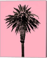 Palm Tree 1996 (Pink) Fine Art Print