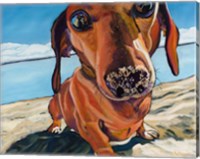 Sand Dog Fine Art Print