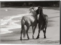 Young Mustangs on Beach Fine Art Print