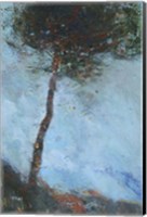 Lone Moorland Pine Fine Art Print