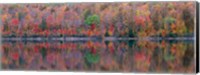 Upson Lake Reflection Fine Art Print