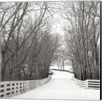 Country Lane in Winter Fine Art Print