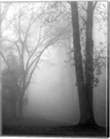 November Fog Fine Art Print