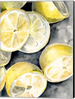 Lemon Slices II Fine Art Print