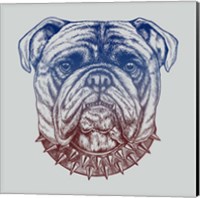 Gritty Bulldog Fine Art Print