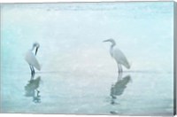 White Cranes Fine Art Print