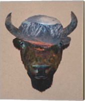 Bison Peak Fine Art Print