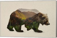 North American Brown Bear Fine Art Print
