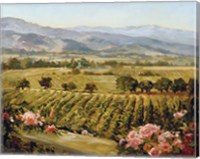 Vineyards to Vaca Mountains Fine Art Print