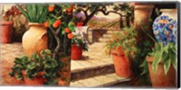 Turo Tuscan Orange Fine Art Print