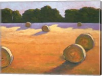While The Hay Shines Fine Art Print