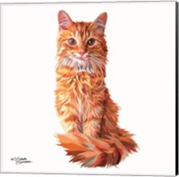 Cat Fine Art Print