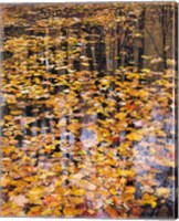 Autumn Detail Fine Art Print