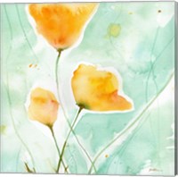 Precious Poppies Fine Art Print