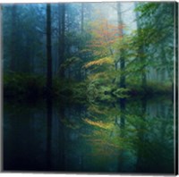 The Forest Fine Art Print