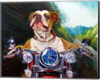 Born To Be Wild Fine Art Print