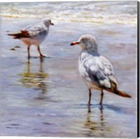 Waders Fine Art Print