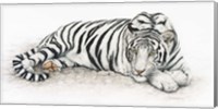 Siberian Tiger Fine Art Print