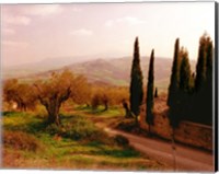 Toscana, Italia No. 709 Fine Art Print