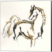 Golden Horse VIII Fine Art Print
