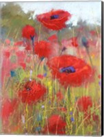 In the Poppy Field Fine Art Print