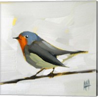 Robin on Wire Fine Art Print