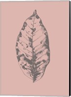 Botanica 1 Fine Art Print