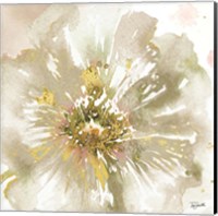 Neutral Watercolor Poppy Close Up I Fine Art Print