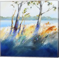 Murray River Bank Fine Art Print