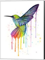 Rainbow Hummingbird Fine Art Print