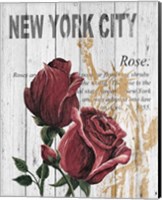 New York Roses Fine Art Print