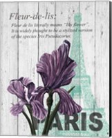 Paris Iris Fine Art Print