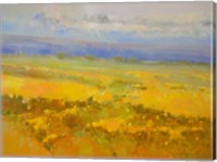 Field of Yellow Flowers Fine Art Print