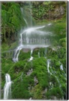Moss Waterfall Fine Art Print