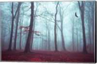 Solstice in Fog Fine Art Print