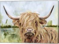 Highland Grazer I Fine Art Print