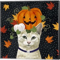 Halloween Cat I Fine Art Print