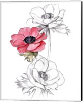 Anemone by Number II Fine Art Print