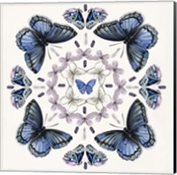Butterfly Mandala II Fine Art Print