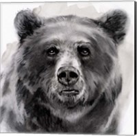 Bear Grin II Fine Art Print