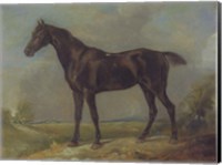 Golding Constable's Black Riding-Horse Fine Art Print