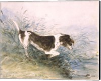 Dog Watching a Rat in the Water Fine Art Print