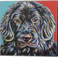 Canine Buddy I Fine Art Print
