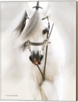 Dream Horse Fine Art Print
